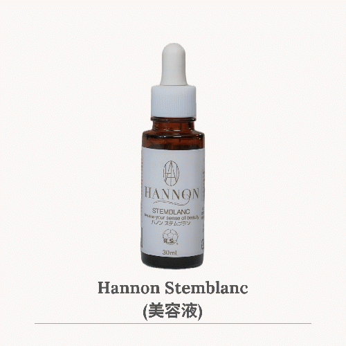 【定期便】10%OFF！ハノン ステムブラン