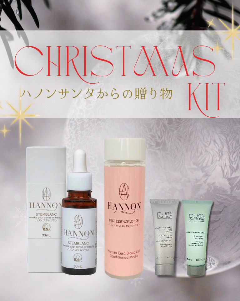 クリスマスキット★Cset 約45%OFF!!¥31,295▶︎¥17,300!